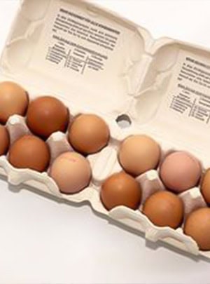 Eier - Bauernladen Kolier